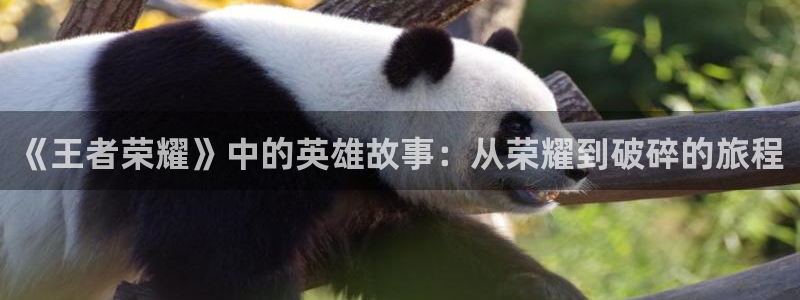一点文学排行榜txt免费下载：《王者荣耀》中的英雄故事：从荣耀到破碎的旅程