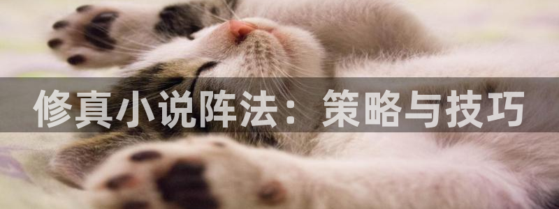 一点文学网站：修真小说阵法：策略与技巧